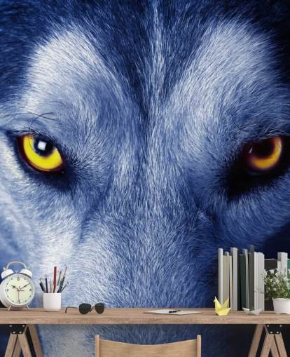 Close Up of Wolfs Face Yellow Eyes and Blue Fur Wallpaper Close Up of Wolfs Face Yellow Eyes and Blue Fur Wallpaper
