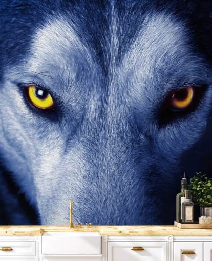 close-up van Wolfs gezicht gele ogen en blauw bont behang close-up van Wolfs gezicht gele ogen en blauw bont behang