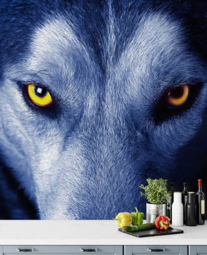 Primer plano de la cara de lobos ojos amarillos y papel tapiz de piel azul