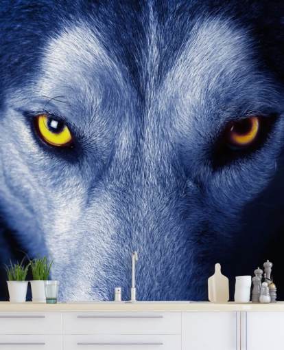 Primer plano de la cara de lobos ojos amarillos y papel tapiz de piel azul