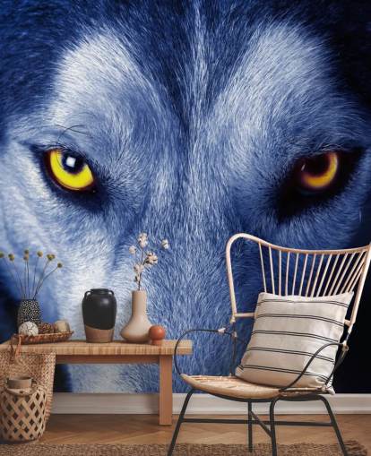 Primer plano de la cara de lobos ojos amarillos y papel tapiz de piel azul Primer plano de la cara de lobos ojos amarillos y papel tapiz de piel azul