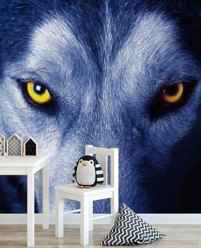 Close Up of Wolfs Face Yellow Eyes and Blue Fur Wallpaper Close Up of Wolfs Face Yellow Eyes and Blue Fur Wallpaper