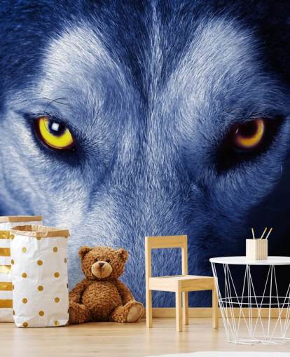 Close Up of Wolfs Face Yellow Eyes and Blue Fur Wallpaper