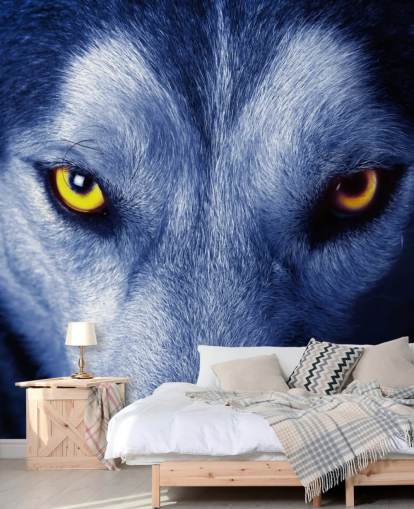 close-up van Wolfs gezicht gele ogen en blauw bont behang
