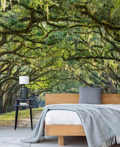 Oak Tree Road Savannah, Georgien