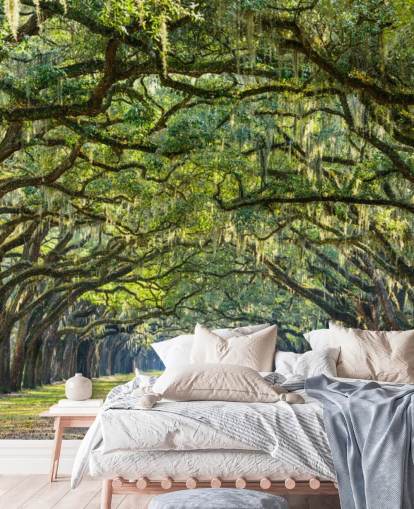 Tammi Tree Road Savannah, Georgia