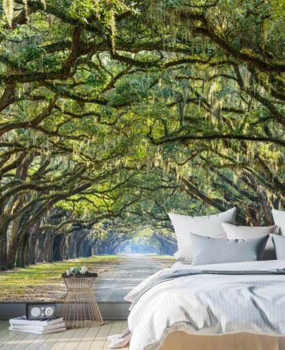 Oak Tree Road Savannah, Georgia