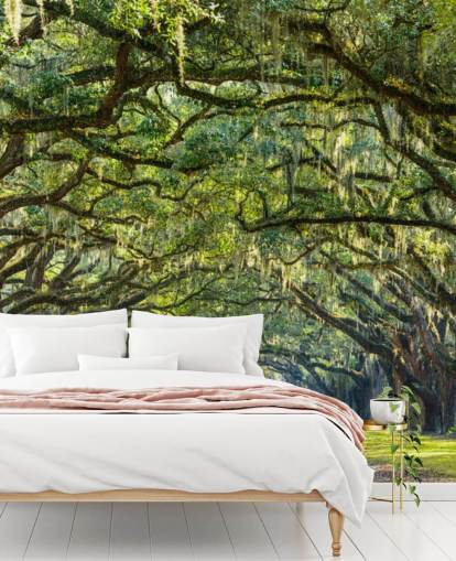 Oak Tree Road Savannah, Georgië