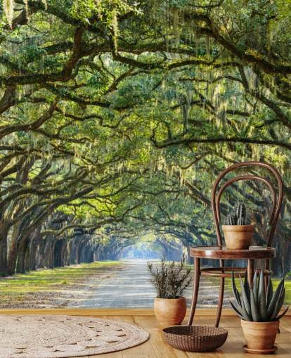 Oak Tree Road Savannah, Georgia Oak Tree Road Savannah, Georgia
