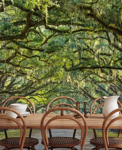 Oak Tree Road Savannah, Georgia