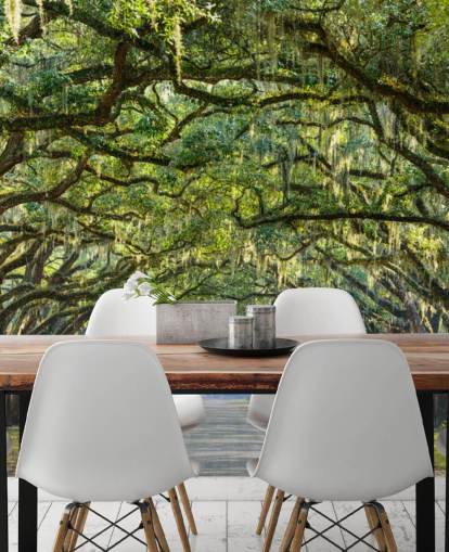 Oak Tree Road Savannah, Georgia