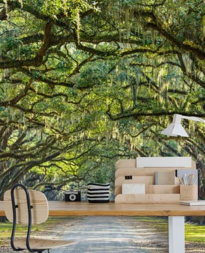 Oak Tree Road Savannah, Georgien