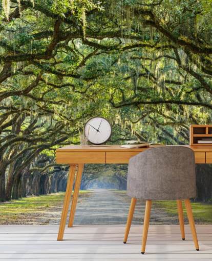 Oak Tree Road Savannah, Georgia