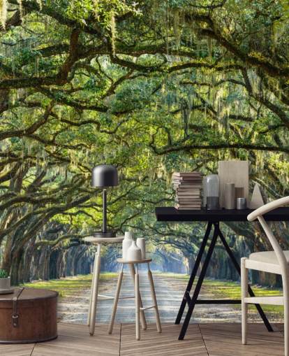 Oak Tree Road Savannah, Georgia Oak Tree Road Savannah, Georgia