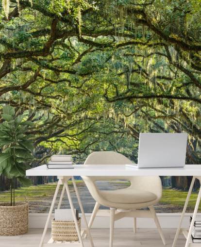 Oak Tree Road Savannah, Georgia