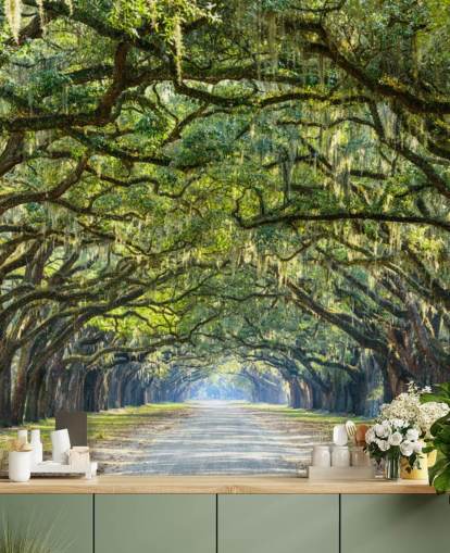 Chemin Oak Tree Savannah, Géorgie