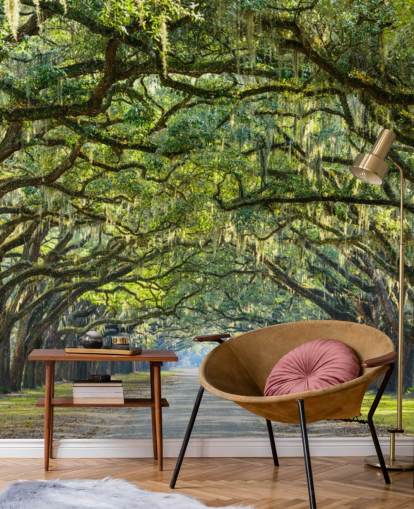 Oak Tree Road Savannah, Georgien