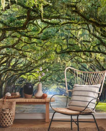 Oak Tree Road Savannah, Georgien