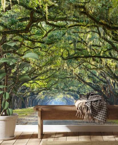 Oak Tree Road Savannah, Georgia Oak Tree Road Savannah, Georgia