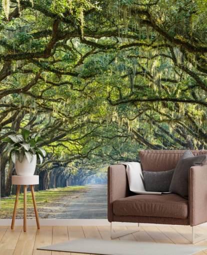 Chemin Oak Tree Savannah, Géorgie Chemin Oak Tree Savannah, Géorgie