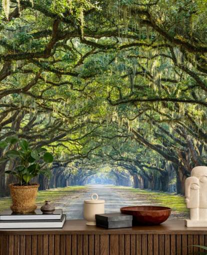 Oak Tree Road Savannah, Georgien