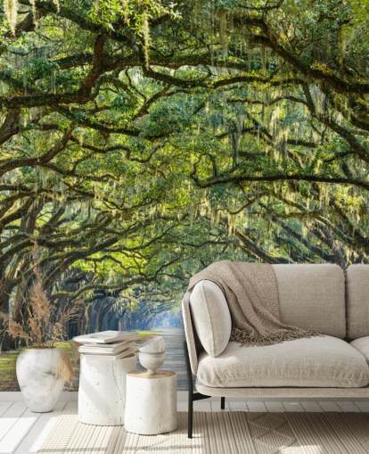 Oak Tree Road Savannah, Georgia