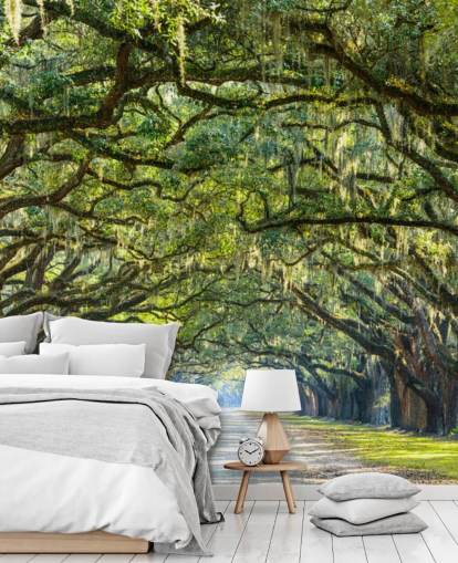Oak Tree Road Savannah, Georgien Oak Tree Road Savannah, Georgien