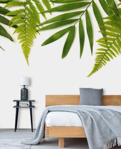 tropical green leaves on white background wall mural tropical green leaves on white background wall mural