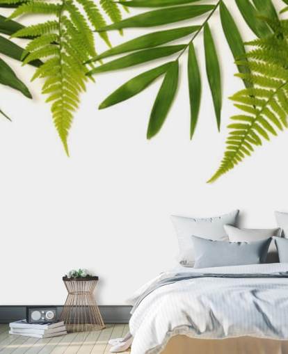 tropical green leaves on white background wall mural