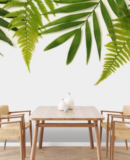 tropical green leaves on white background wall mural