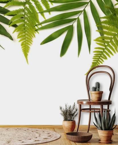 tropical green leaves on white background wall mural