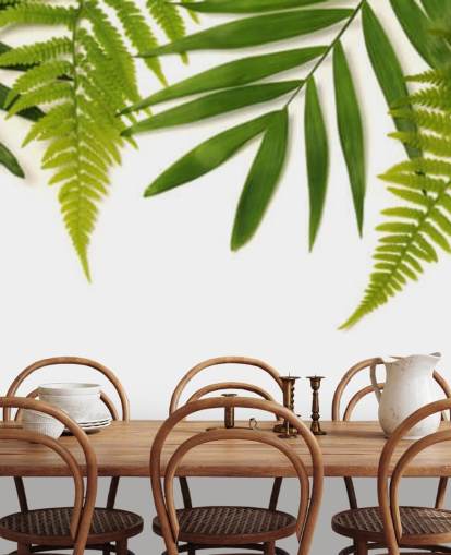 tropical green leaves on white background wall mural