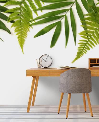 tropical green leaves on white background wall mural