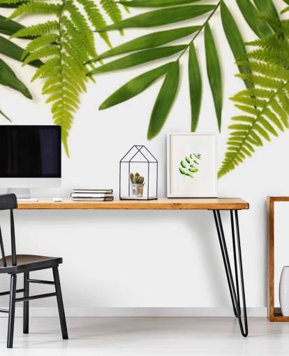 tropical green leaves on white background wall mural