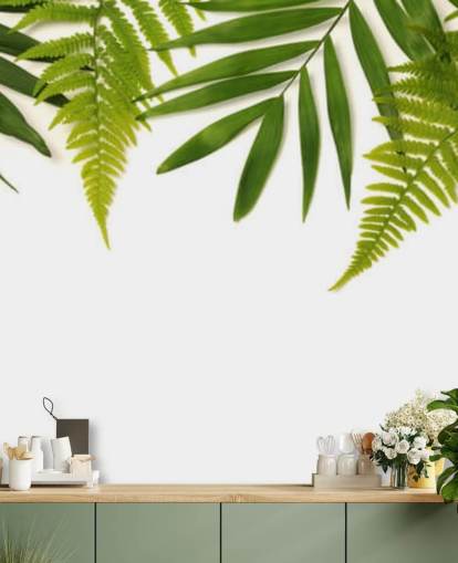 tropical green leaves on white background wall mural