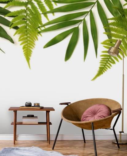 tropical green leaves on white background wall mural