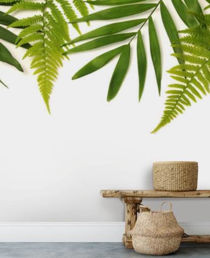 tropical green leaves on white background wall mural tropical green leaves on white background wall mural
