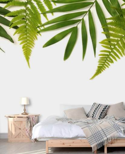tropical green leaves on white background wall mural tropical green leaves on white background wall mural