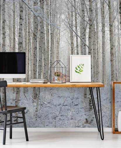 Hvit Natur Bakgrunn Mural