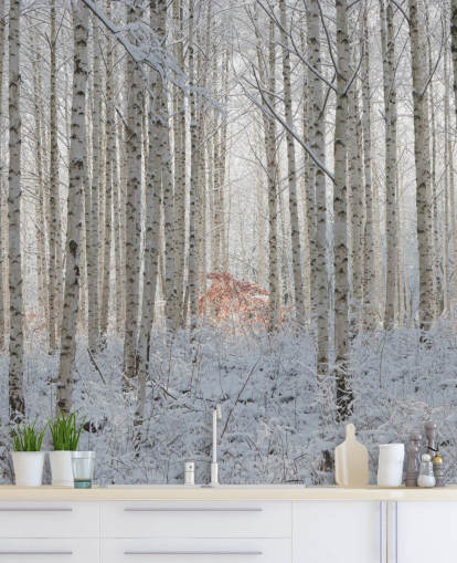White Nature Wallpaper Mural