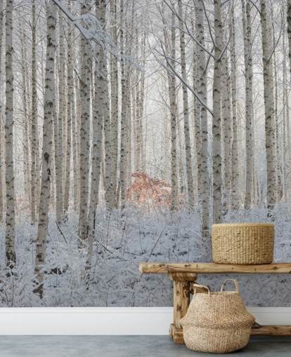 Papier Peint Fresque Nature Blanche