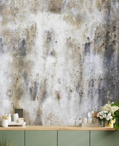 carta da parati murale grigia effetto cemento chiamata Concrete per camere da letto e cucine