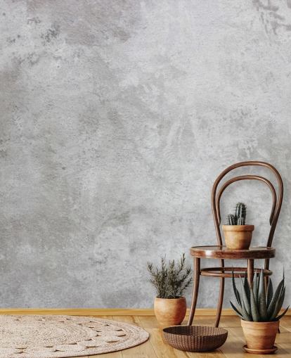 gray concrete wallpaper mural called Texture of Plaster for homes and businesses
