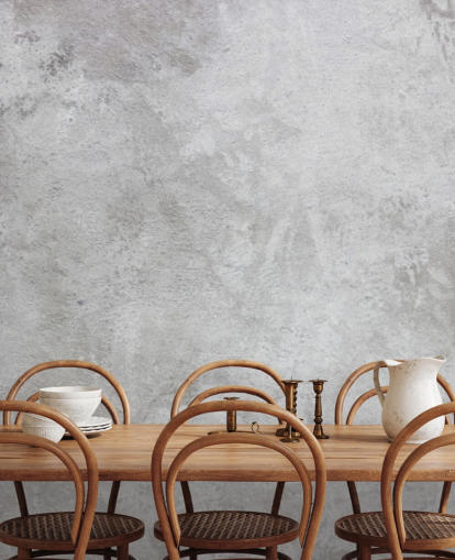 gray concrete wallpaper mural called Texture of Plaster for homes and businesses
