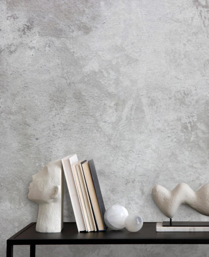 gray concrete wallpaper mural called Texture of Plaster for homes and businesses