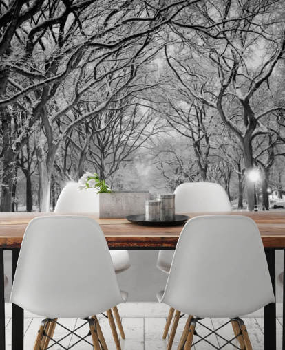 einfarbiges individuelles New Yorker Tapeten-Wandbild namens Central Park Covered in Snow für Wohn- oder Esszimmer