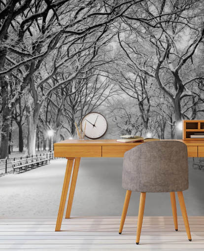 monochrome custom New York wallpaper mural called Central Park Covered in Snow for living rooms or dining rooms