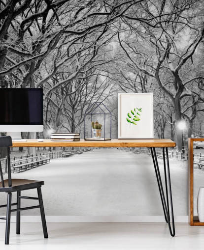 monochrome custom New York wallpaper mural called Central Park Covered in Snow for living rooms or dining rooms