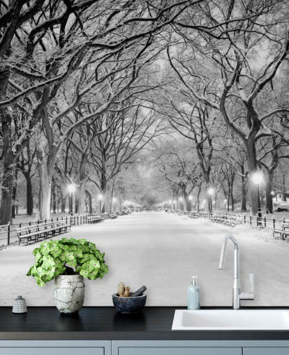 papier peint mural monochrome personnalisé de New York appelé Central Park Covered in Snow pour les salons ou les salles à manger papier peint mural monochrome personnalisé de New York appelé Central Park Covered in Snow pour les salons ou les salles à manger