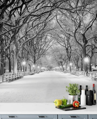 mural de papel pintado monocromo personalizado de Nueva York llamado Central Park cubierto de nieve para salas de estar o comedores